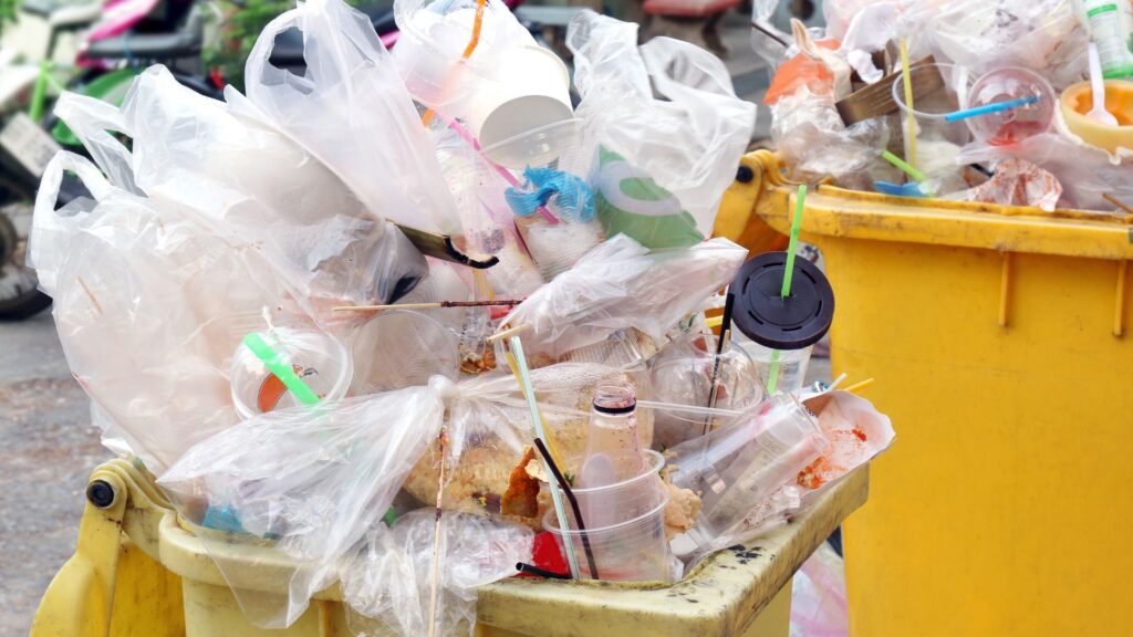 Junk Removal Services